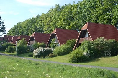 Finnhäuser am Vogelpark - Haus