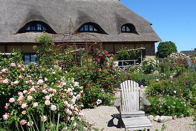 Gut Alt Farpen Ferienwohnung 1