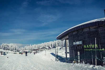 Haus Elisabeth - Fewo Freiburg, 1