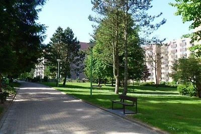 Ferienwohnung Brockenblick -