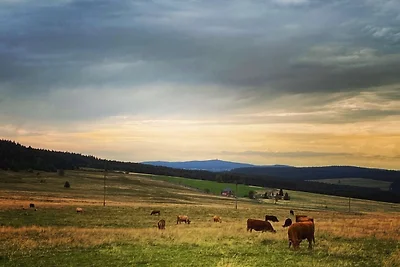 Försterei Eibenstock - App