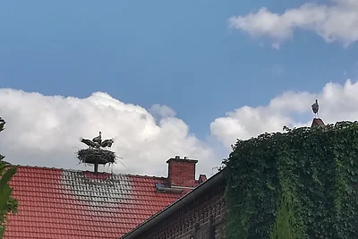 Ferienwohnung Storchenblick