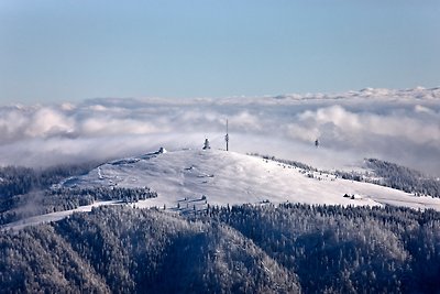 Vakantieappartement Gezinsvakantie Feldberg