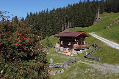 Chalet zum Feldalphorn (Prädasten