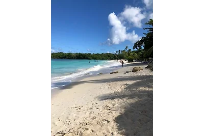 Bungalow de Ballenas