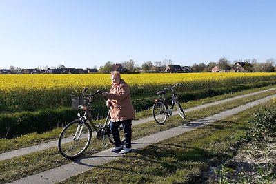 Vakantieappartement Gezinsvakantie Holtriem