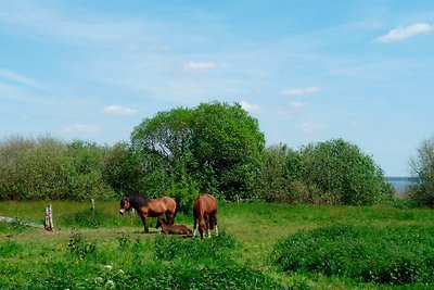 Ferienbungalow Fleesensee