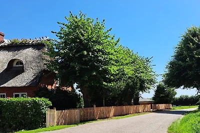 Ferienhaus Vollandt