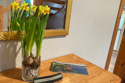 Ferien bei Goos - Ferienwohnung