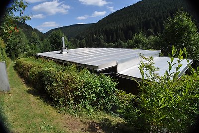Ferienhaus WaldLuftin