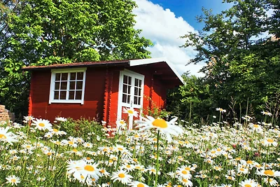 Casa vacanze Vacanza di relax Dassow