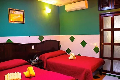 Casa Puchy Appartement 2