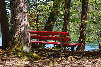 Söhredomizil Kaufunger Wald -