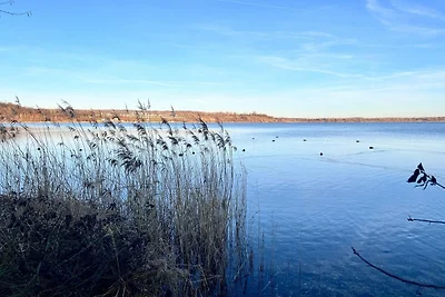 Fewo &#132;Seestern&#147;