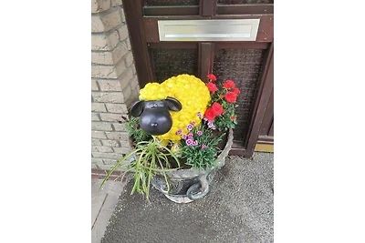 Ferienwohnung-Goder