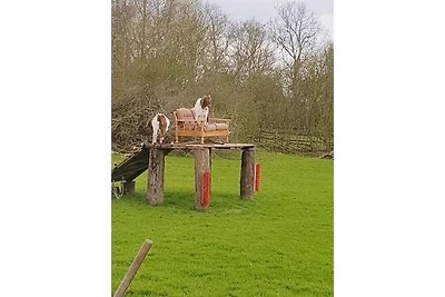 Ferienhof Mau "Appartementhaus