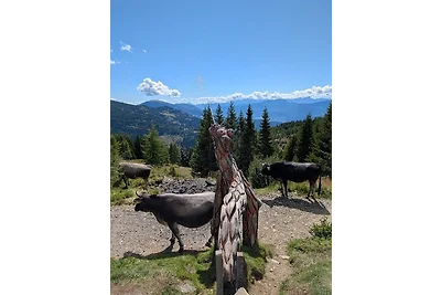 Appartamento Vacanza con famiglia Bad Kleinkirchheim