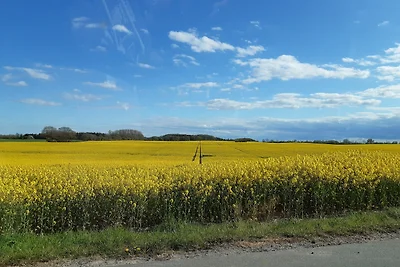Domek letniskowy Urlop wypoczynkowy Damp