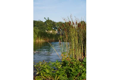 Traumkrone Ferienwohnungen -