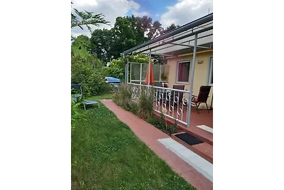Ferienhaus Zauneidechse im