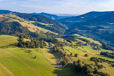 Vakantieappartement Gezinsvakantie Lörrach