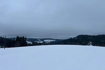 FW6 Ferienwohnung Sicht zur Dorf