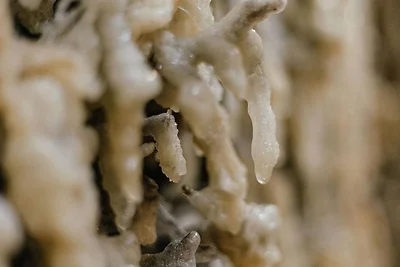 Appartamento Vacanza con famiglia Trinwillershagen