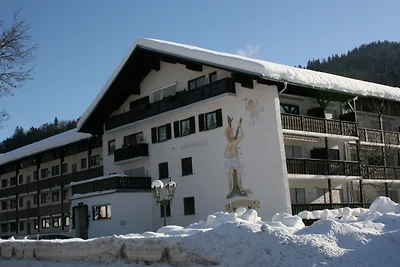 Alpendohle