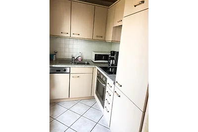 Ferienwohung in Dresden am Elbhang