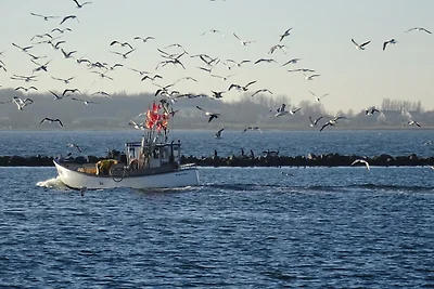 Ferienwohnung Trumann Nr. 2