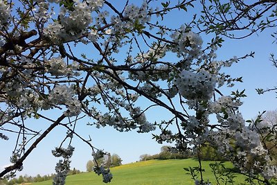 Appartamento Vacanza con famiglia Schongau