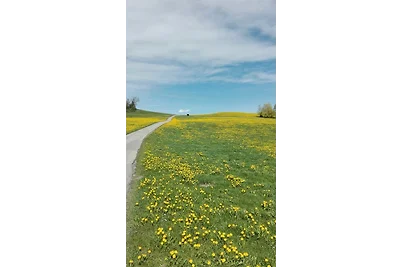 Vakantieappartement Gezinsvakantie Peiting