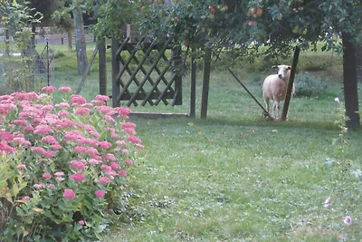 Fehmarn Beltblick - Wohnung Ost