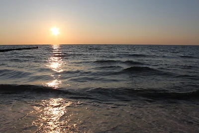 -"Strandkrabbe" in der App.-Anlage