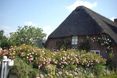 Vakantieappartement Gezinsvakantie Emmelsbüll-Horsbüll