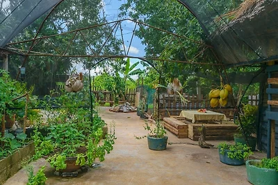 Villa Cayo Jutia Appartement 1
