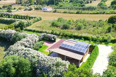 Vakantiehuis Ontspannende vakantie Nuoro