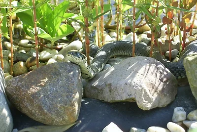 Appartamento Vacanza con famiglia Spremberg