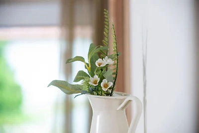 Ferienwohnung Dackelblick