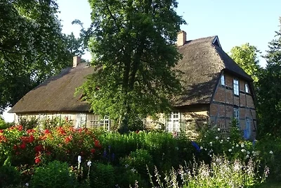 Ferienwohnung Irisgarten am