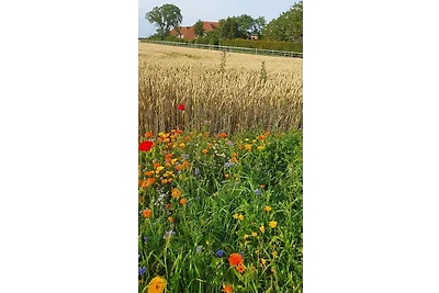 "Ferienhof Seelust" Reihenhaus 7