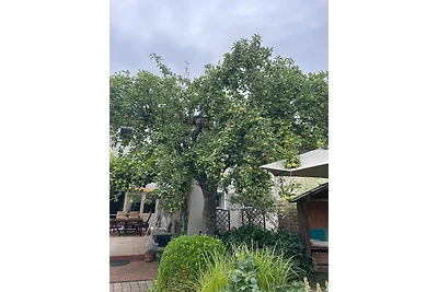 Appartamento Vacanza con famiglia Lügde / Elbrinxen