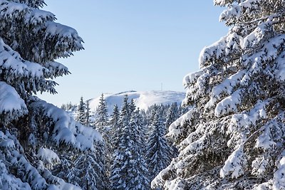 Fewo Sunneschii, Höchenschwand