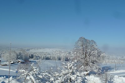 Ferienwohnung Panorama