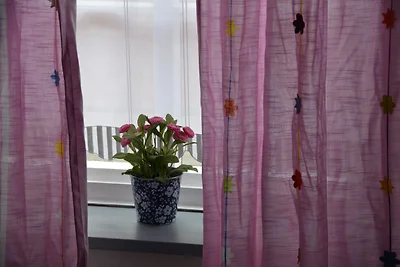 Fewo Lasse mit grossem Garten