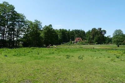 Ferienhaushälfte zum Plauer See