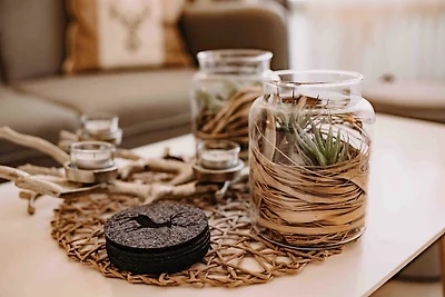 Haus am See Harzflair