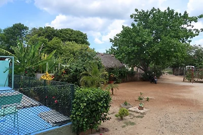 Hostal el Rinconcito de Amaury
