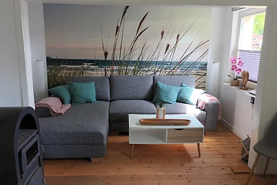 Ferienhaus Hansühn "gerne mit