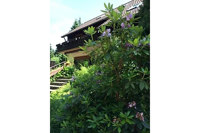 Vakantieappartement Gezinsvakantie Clausthal-Zellerfeld